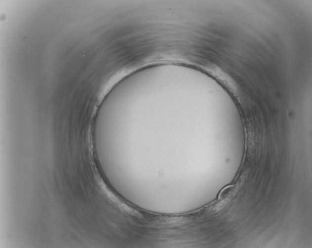 X0000073921382200609082227