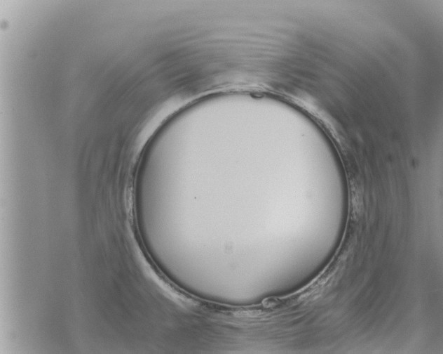 X0000073921383200609082227