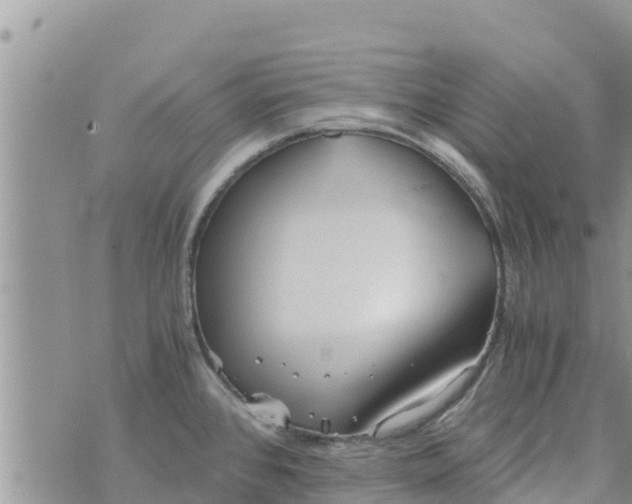 X0000073921384200609082227