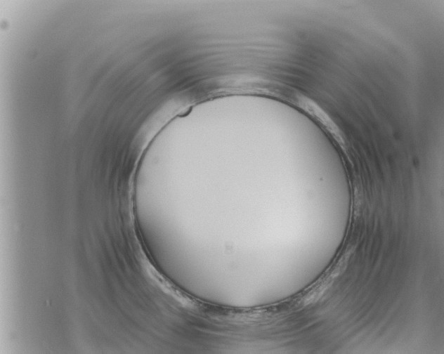 X0000073921386200609082227