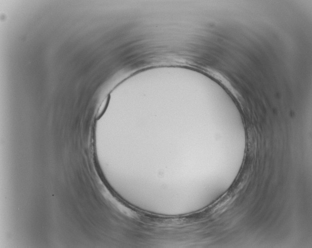 X0000073921387200609082227