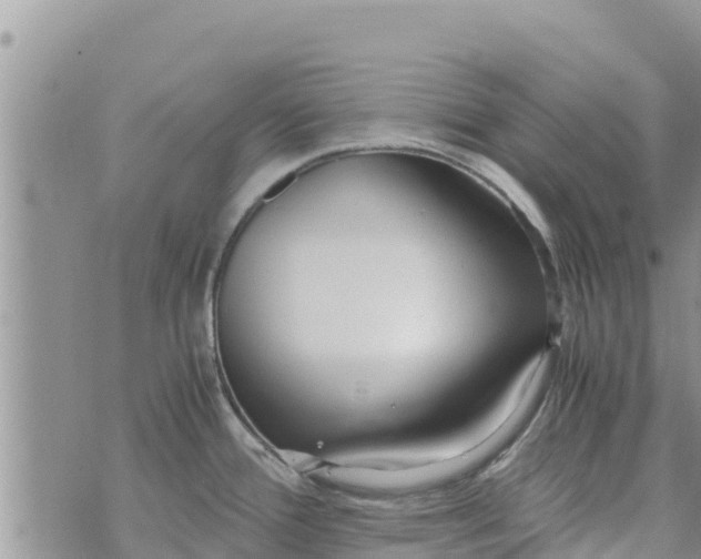 X0000073921388200609082227