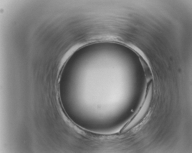 X0000073921389200609082227