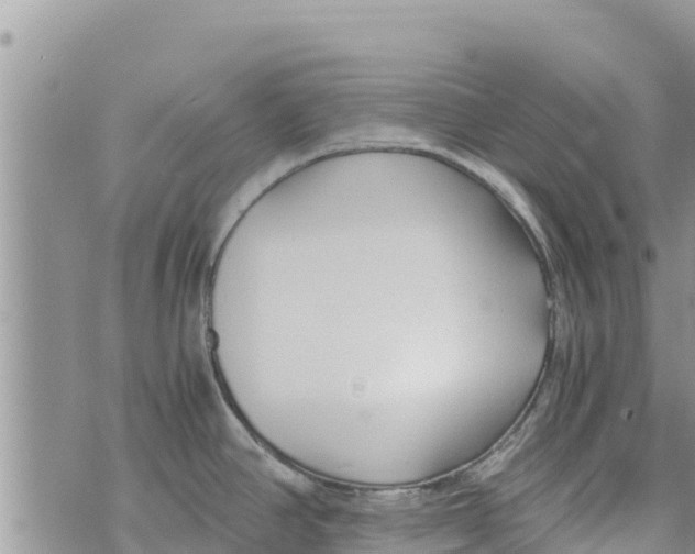 X0000073921390200609082227