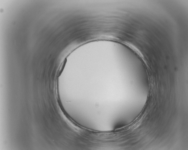 X0000073921391200609082227