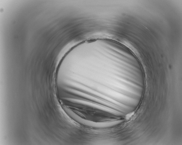 X0000073921392200609082227