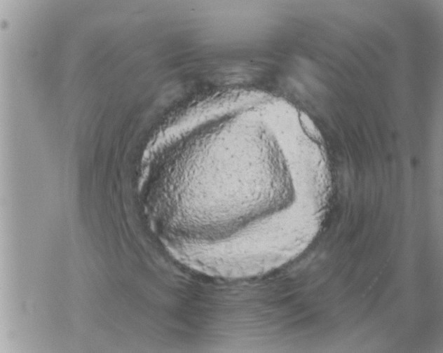 X0000073921393200609082226