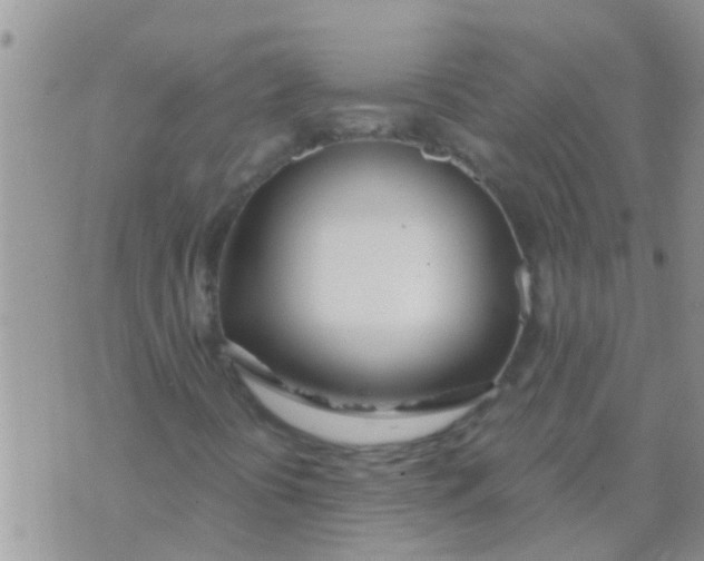 X0000073921394200609082226