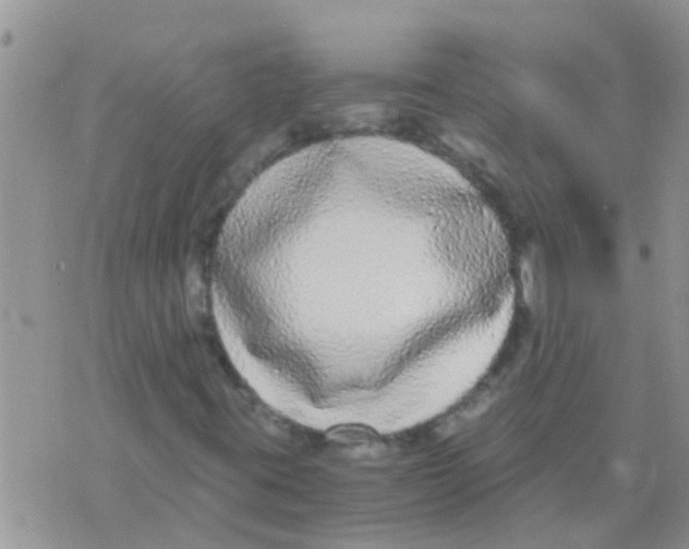 X0000073921395200609082226