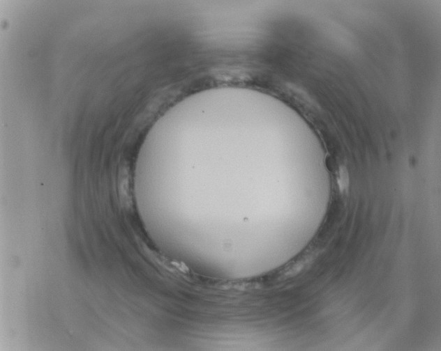 X0000073921396200609082226