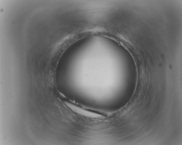 X0000073921398200609082226