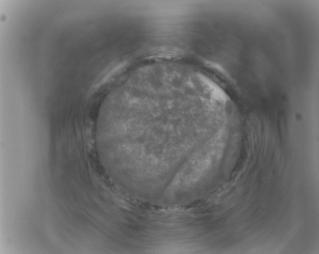 X0000073921399200609082226