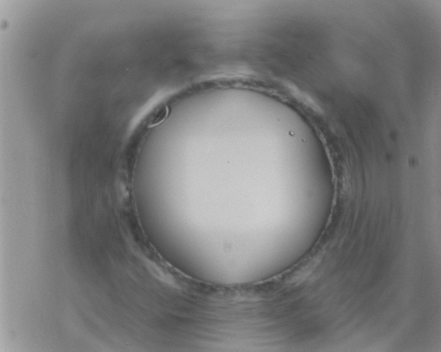 X0000073921400200609082226