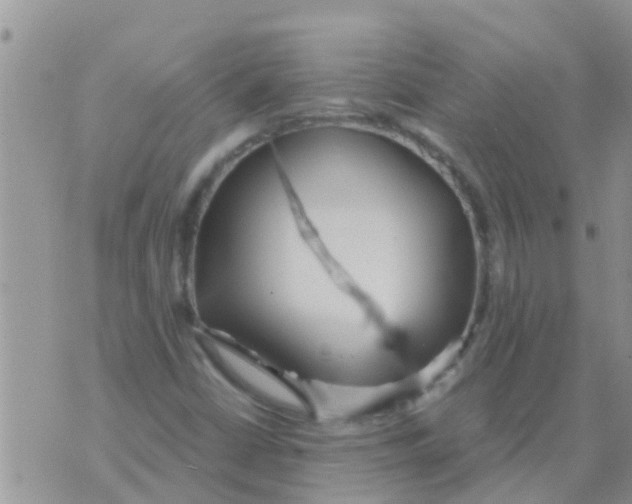 X0000073921402200609082226