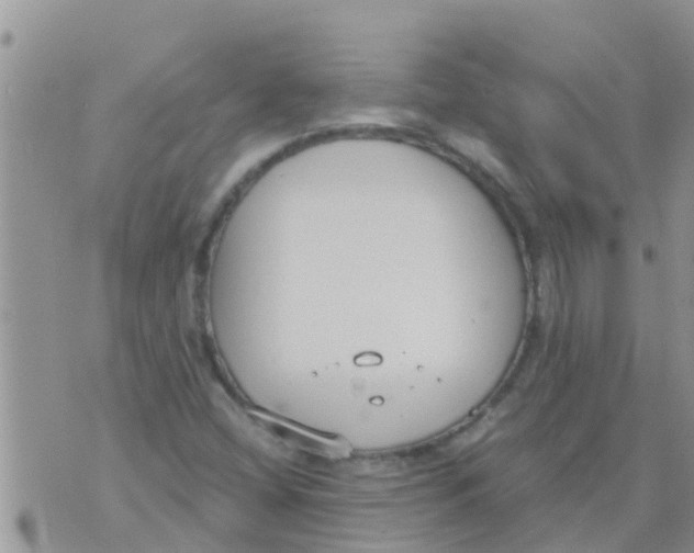 X0000073921404200609082226