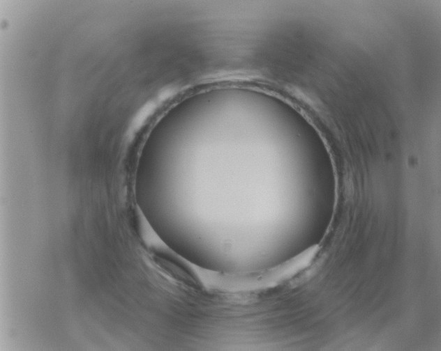 X0000073921406200609082226