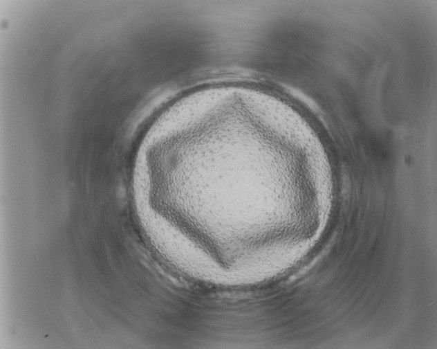 X0000073921407200609082226