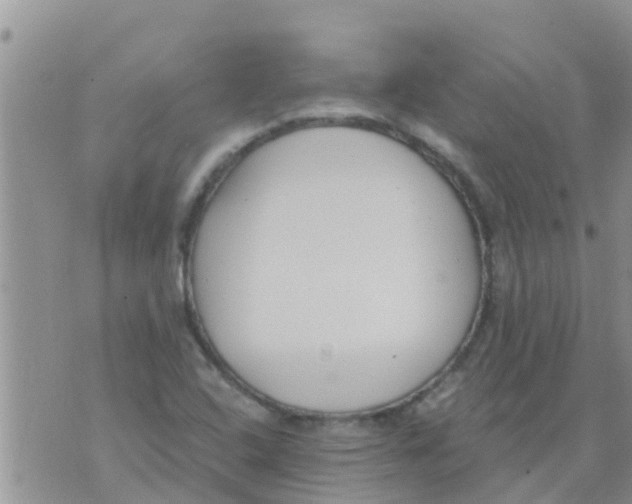 X0000073921408200609082226