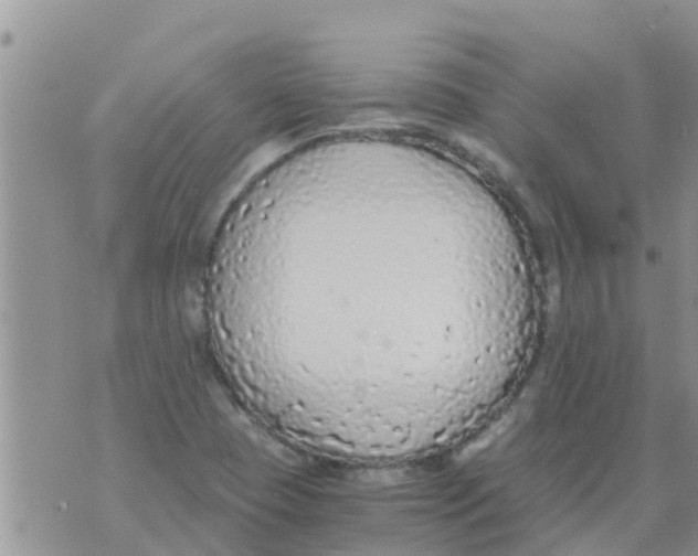 X0000073921409200609082226