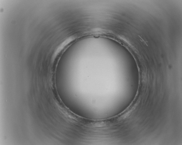 X0000073921410200609082226