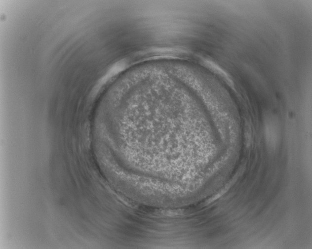 X0000073921411200609082226