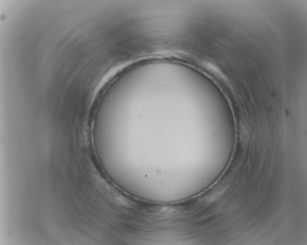 X0000073921412200609082226