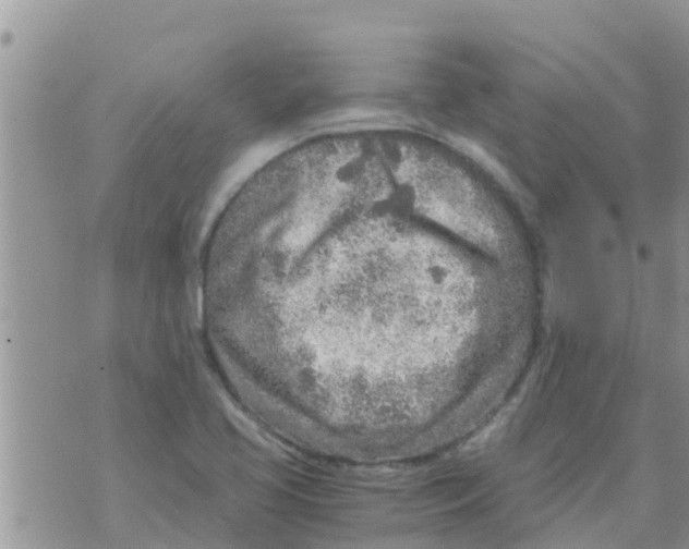 X0000073921413200609082226