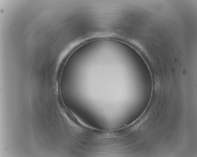 X0000073921414200609082226