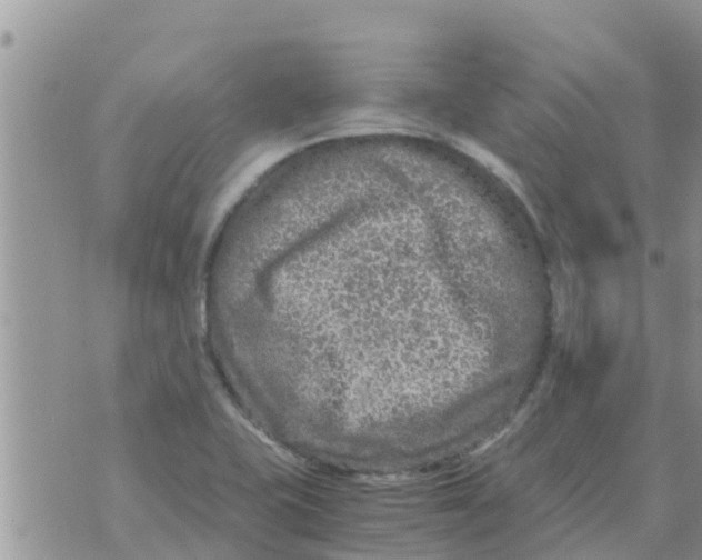 X0000073921415200609082226