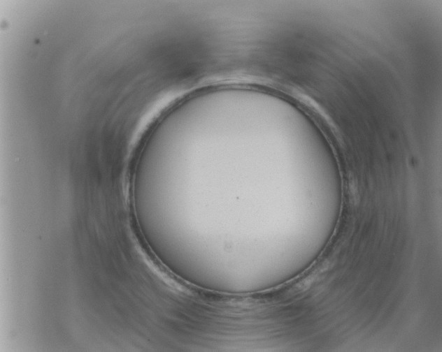 X0000073921416200609082226