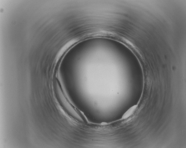 X0000073921418200609082226