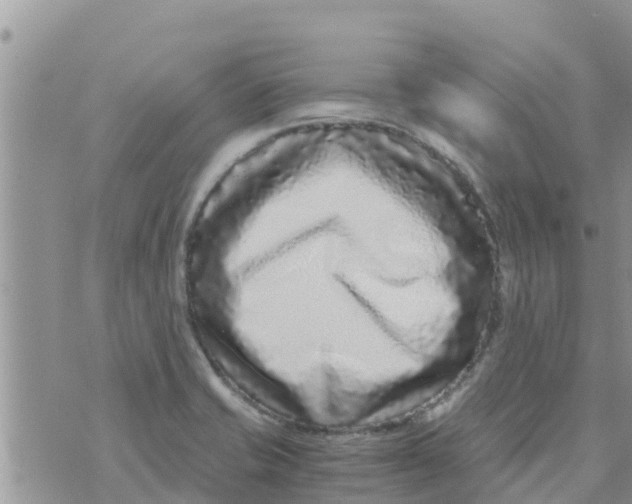 X0000073921421200609082226