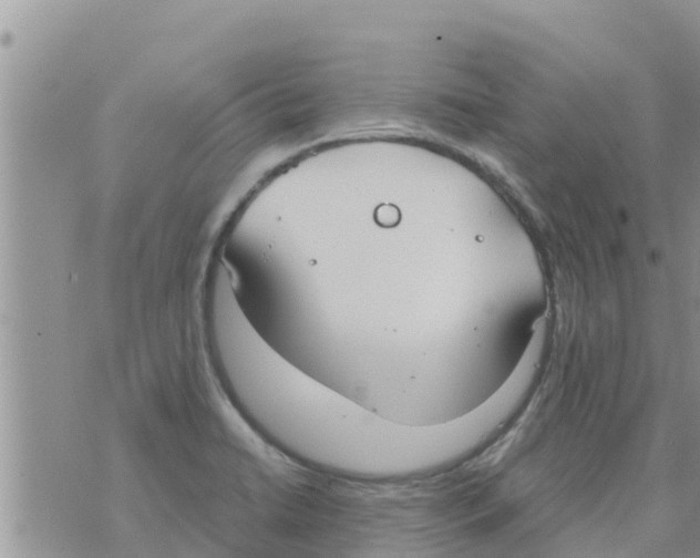 X0000073921422200609082226