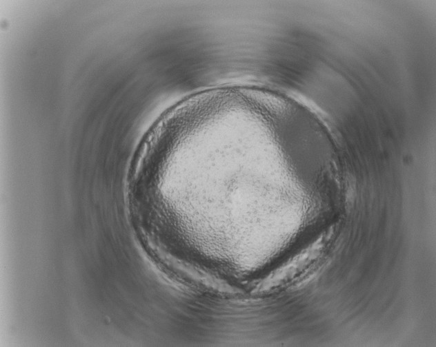 X0000073921423200609082226