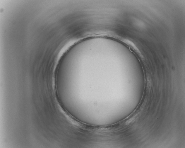 X0000073921424200609082226