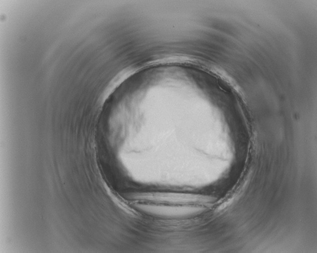 X0000073921425200609082226