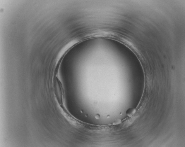 X0000073921426200609082226