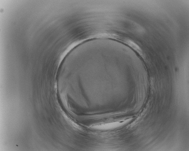 X0000073921428200609082226