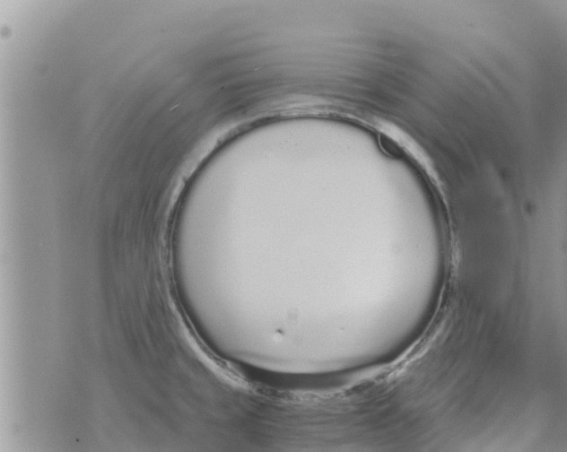 X0000073921429200609082226