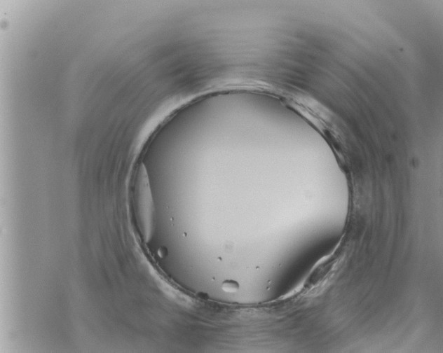 X0000073921430200609082227