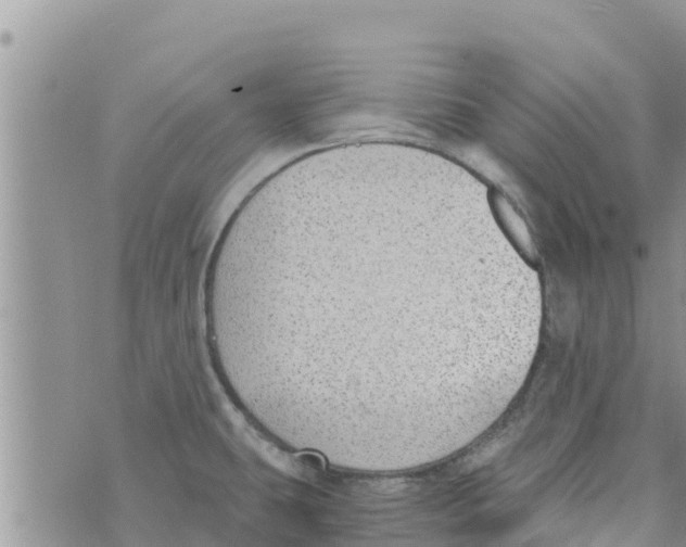 X0000073921431200609082227