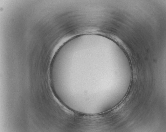 X0000073921432200609082227