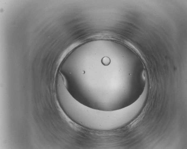 X0000073921434200609082227