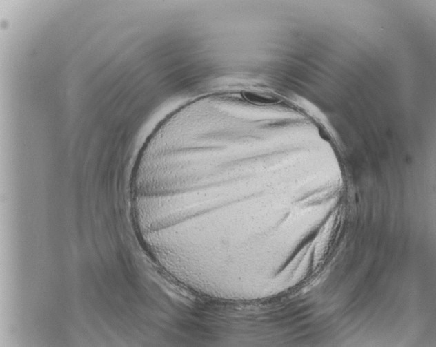 X0000073921435200609082227