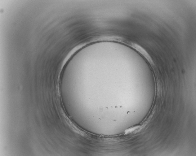 X0000073921436200609082227