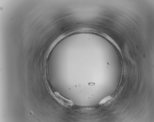 X0000073921437200609082227