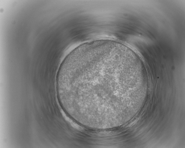 X0000073921439200609082227