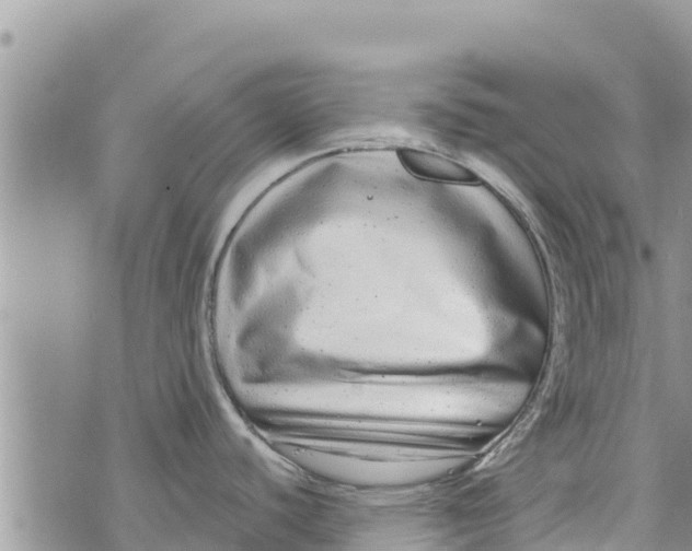 X0000073921440200609082227