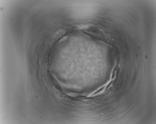 X0000073921441200609082226