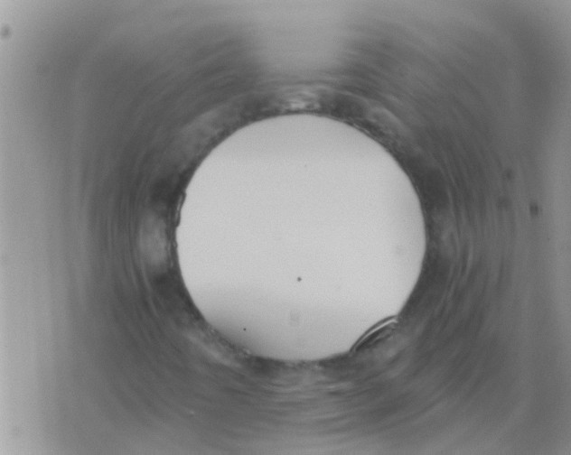 X0000073921442200609082226